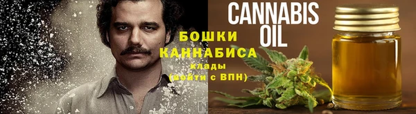 дживик Баксан