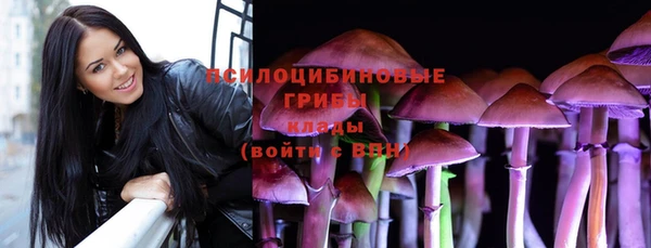 дживик Баксан