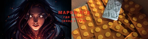 ГАЛЛЮЦИНОГЕННЫЕ ГРИБЫ Балахна