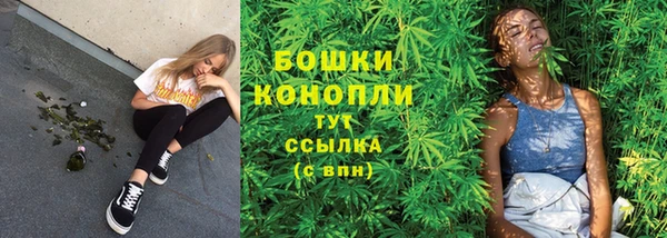 ГАЛЛЮЦИНОГЕННЫЕ ГРИБЫ Балахна