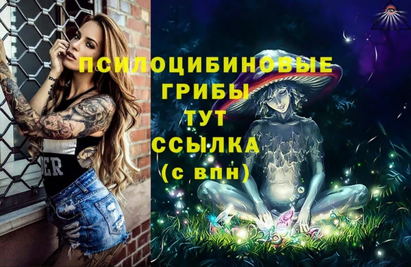 дживик Баксан