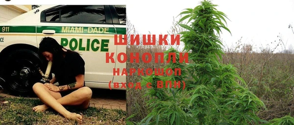 ГАЛЛЮЦИНОГЕННЫЕ ГРИБЫ Балахна